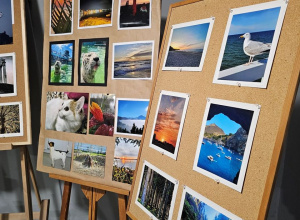 Podsumowanie Konkursu Fotograficznego