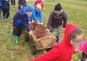 Uczniowie zwożą ziemniaki na wózku.