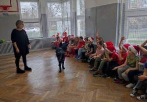 Opiekunka psa pokazuje uczniom jak wygląda praca psa podczas zajęć z dogoterapii.