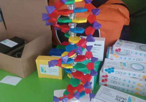 Model DNA na tle innych pomocy
