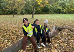 Trójka uczniów siedzi na pniu drzewa na polance w Parku im. Adama Mickiewicza.