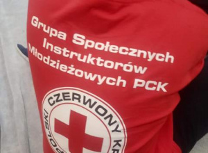 Chłopiec w czerwonej koszulce z symbolem PCK
