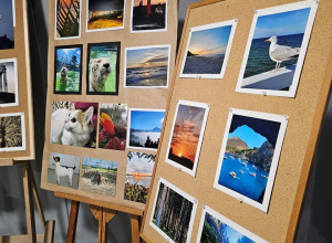 Podsumowanie Konkursu Fotograficznego