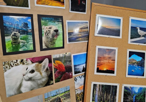 Prezentacja zdjęć uczniów wykonanych na Konkurs fotograficzny.