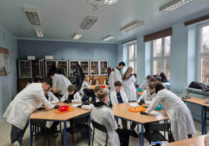 Widok na salę chemiczną.