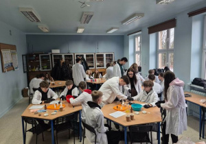 Warsztaty z chemii w XXX LO.
