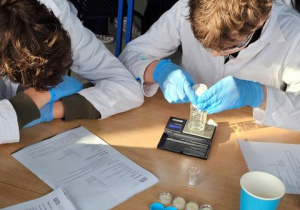 Uczniowie uczestniczą w zajęciach z chemii.