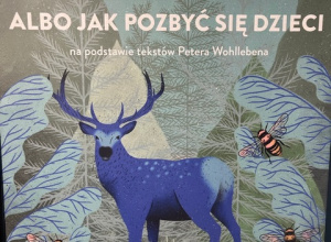 Plakat reklamujący spektakl teatralny w teatrze Pinokio.