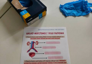 Zadanie do wykonania przez uczniów podczas laboratorium.